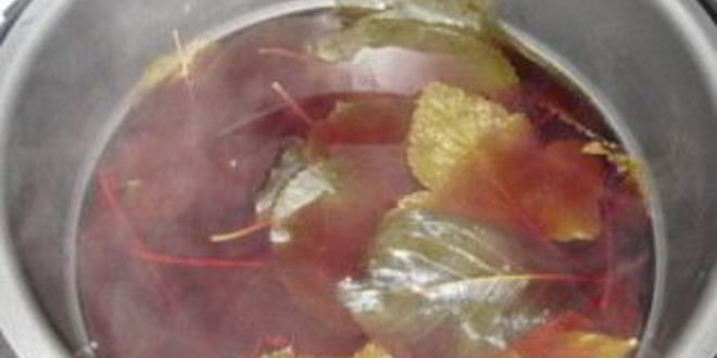 Рецепт смородиновой наливки