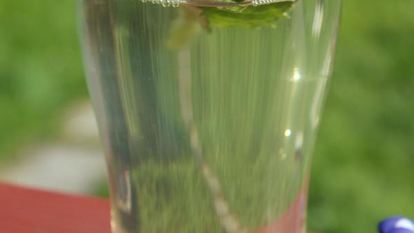 Рецепт Напитка из ревеня с розмарином