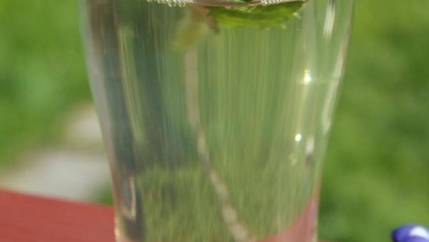 Рецепт напитка из ревеня с розмарином