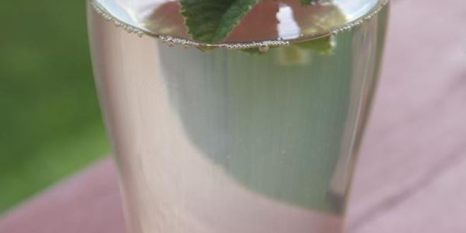 Рецепт напитка из ревеня с розмарином