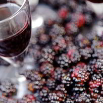 Рецепт Домашней настойки на ежевике