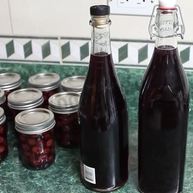 Рецепт Домашней настойки на вишне на самогоне