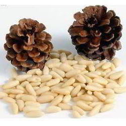 Рецепт Кедровой настойки на орехах