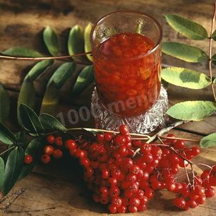 Рецепт Настойки из красной рябины