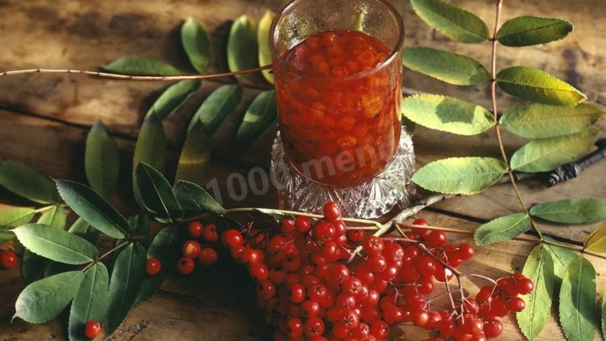 Рецепт настойки из красной рябины