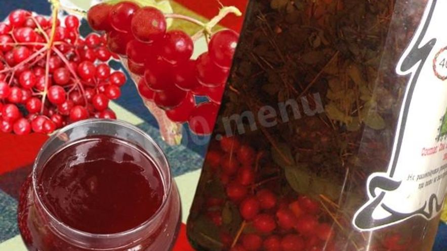 Рецепт настойки калина на спирту