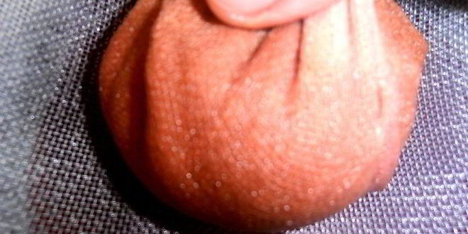 Рецепт настойки клюковка