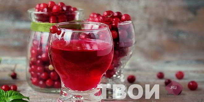 Рецепт настойки на бруснике