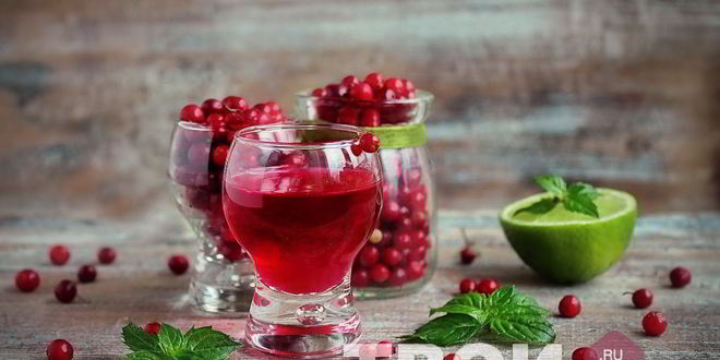 Рецепт настойки на бруснике