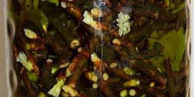 Рецепт настойки на смородиновых почках