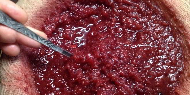 Рецепт настойки несмеяновка женская