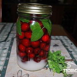 Рецепт Вишневой настойки