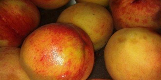 Рецепт персиков в сиропе