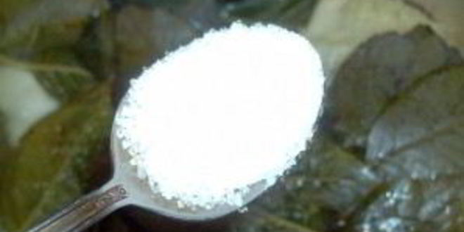 Рецепт сиропа из черноплодной рябины