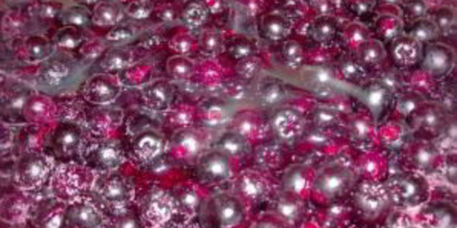 Рецепт сиропа из черноплодной рябины