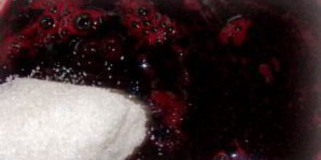 Рецепт сиропа из черноплодной рябины