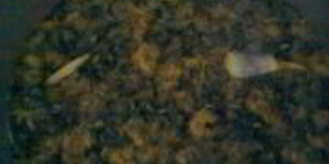 Рецепт сиропа из одуванчиков