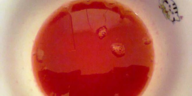 Рецепт гранатового сока с медом