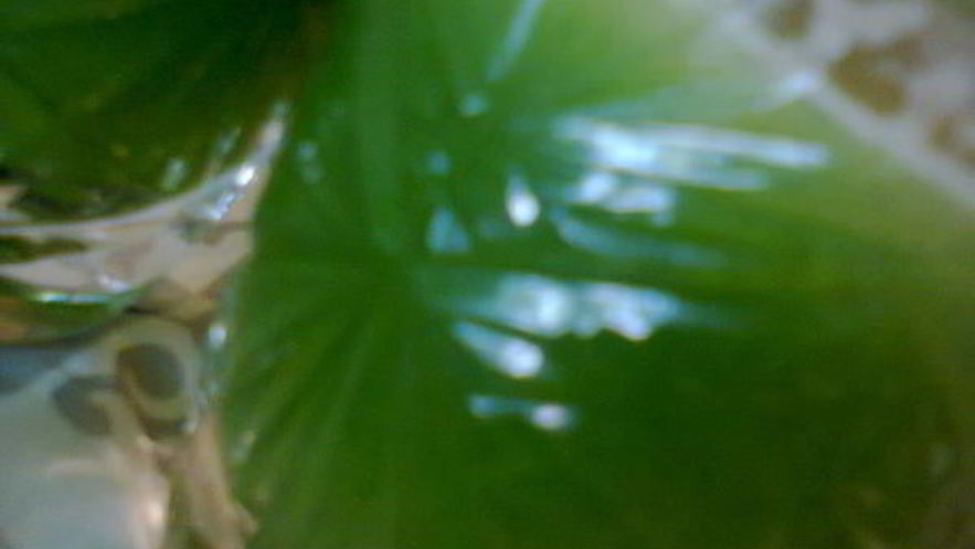 Рецепт овощного сока зеленого