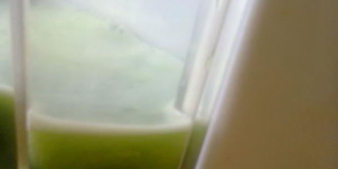 Рецепт овощного сока зеленого