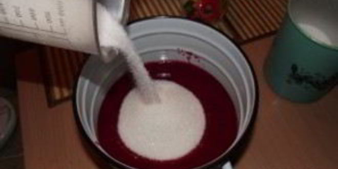 Рецепт сока из калины