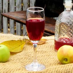 Рецепт Вина из алычи простое домашнее