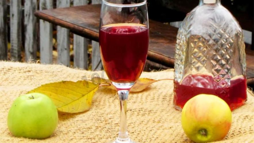 Рецепт вина из алычи простое домашнее