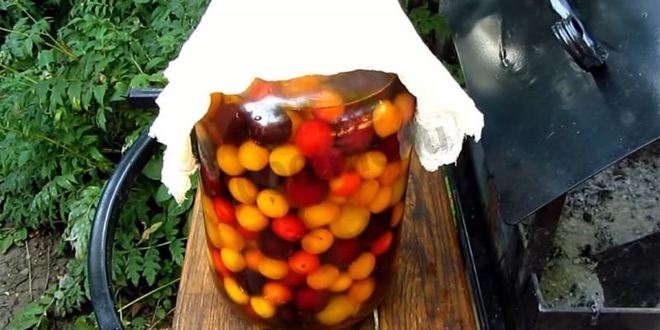 Рецепт вина из алычи простое домашнее