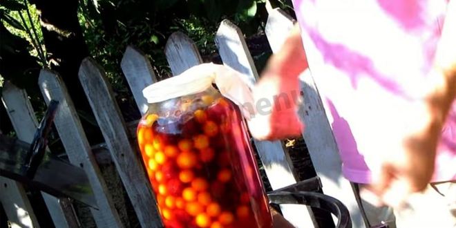 Рецепт вина из алычи простое домашнее