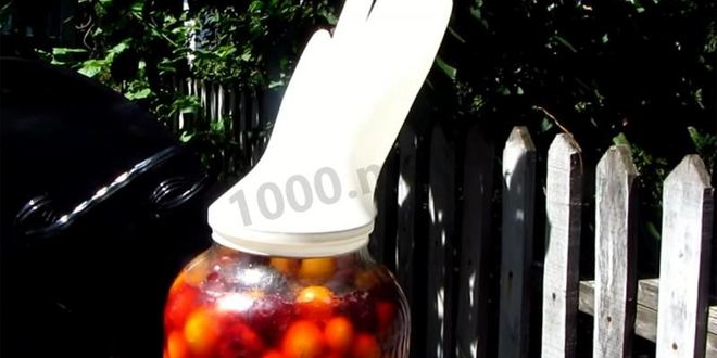 Рецепт вина из алычи простое домашнее