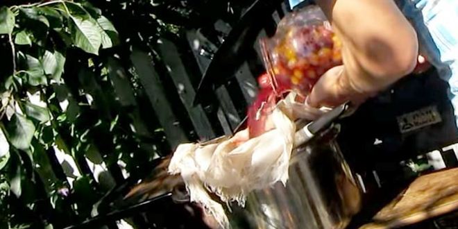 Рецепт вина из алычи простое домашнее