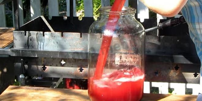 Рецепт вина из алычи простое домашнее