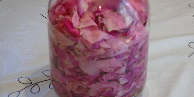 Рецепт вина из лепестков роз