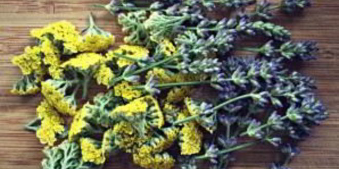 Рецепт вина из меда