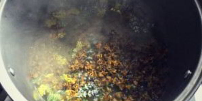 Рецепт вина из меда