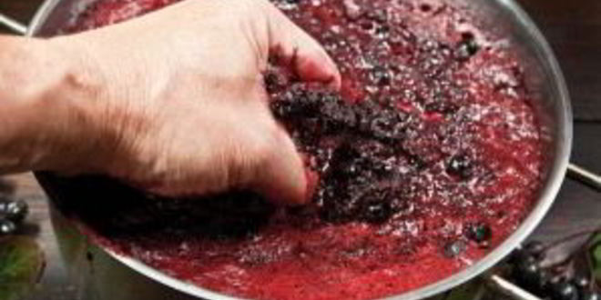 Рецепт вина из рябины