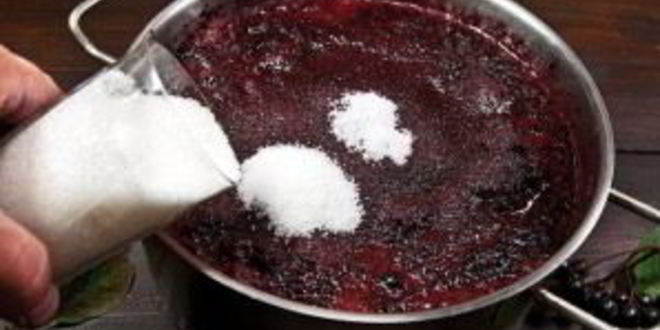 Рецепт вина из рябины