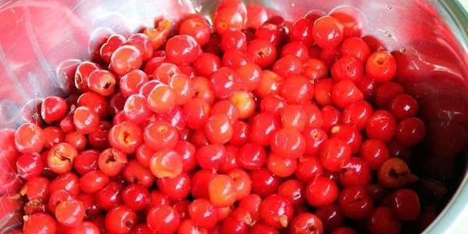 Рецепт вина из войлочной вишни