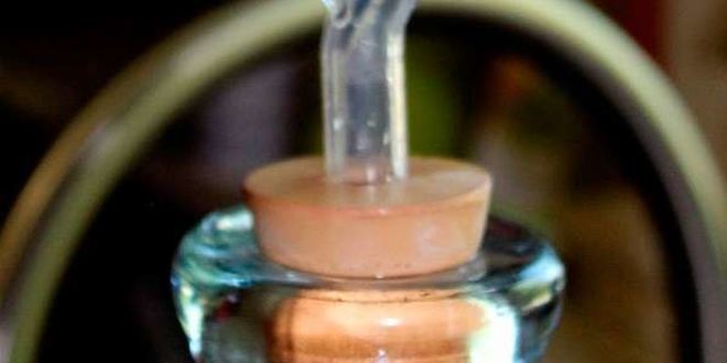 Рецепт вина из войлочной вишни