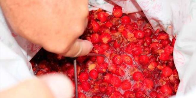 Рецепт вина из войлочной вишни