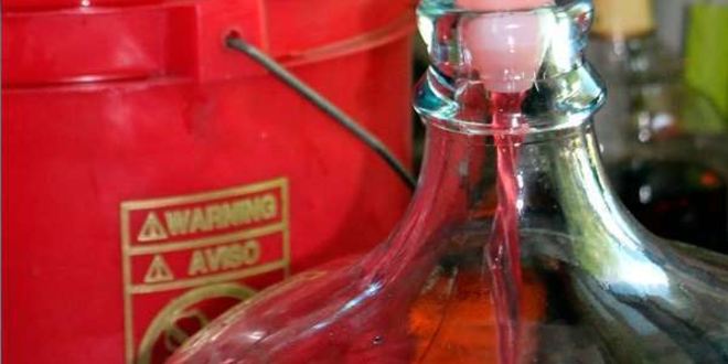 Рецепт вина из войлочной вишни