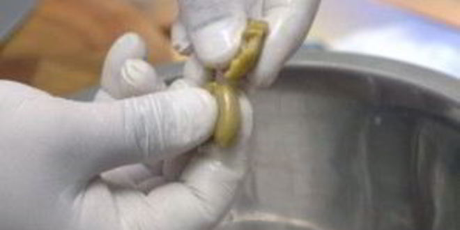 Рецепт салата греческого с брынзой