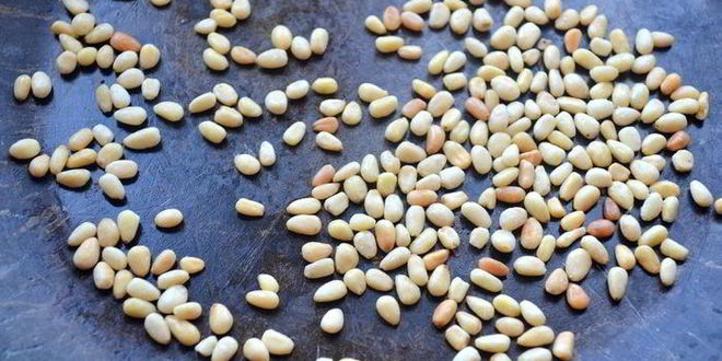 Рецепт испанского салата