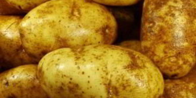 Рецепт картофельного салата с беконом