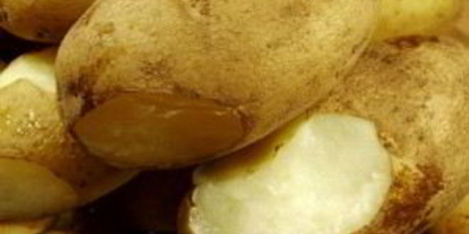 Рецепт картофельного салата с беконом