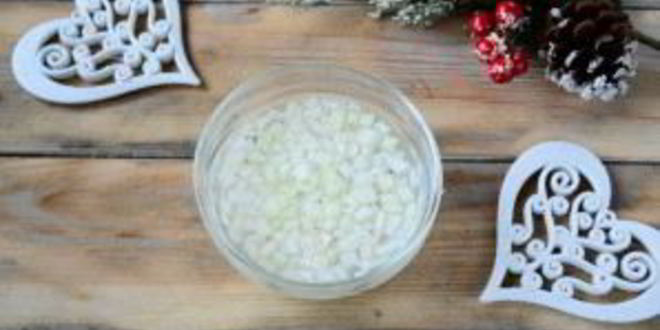 Рецепт мимозы на год собаки