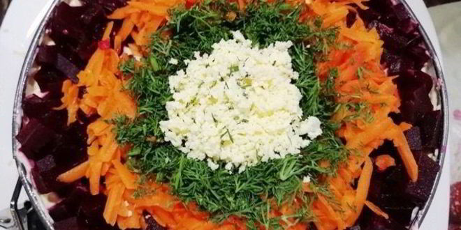 Рецепт салата шуба под сельдью