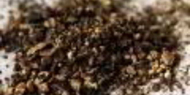 Рецепт салата цезарь в томате