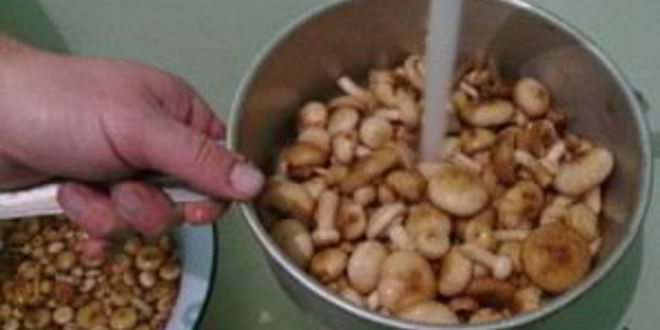 Рецепт салата жар-птица с опятами