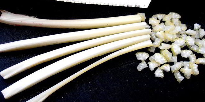 Рецепт салата винегретного мотив с пикантной заправкой